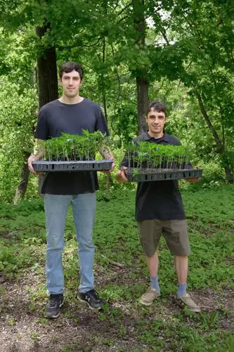 Michael and Brian Lupario holding trays of young hemp plants