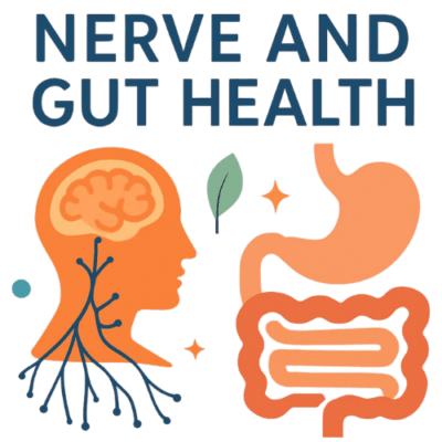 Diagram of Nerve and Digestive System