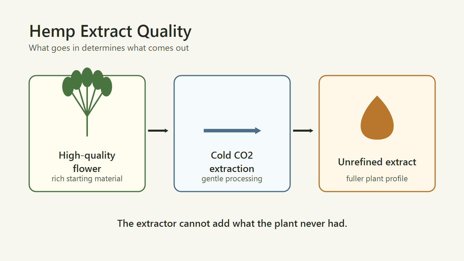 Educational graphic showing high-quality hemp flower going through cold CO2 extraction into unrefined hemp extract