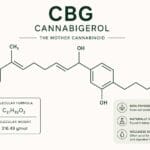 CBG cannabigerol molecule graphic explaining that CBG is a non-intoxicating cannabinoid found in hemp