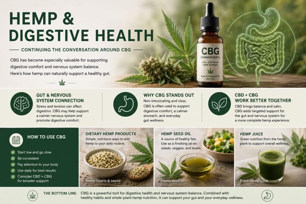 Hemp and digestive health infographic showing CBG oil, hemp flower, and digestive system support themes