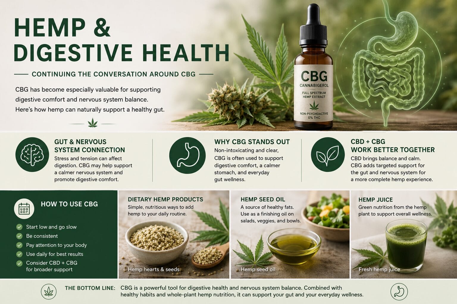 Hemp and digestive health infographic showing CBG oil, hemp flower, and digestive system support themes